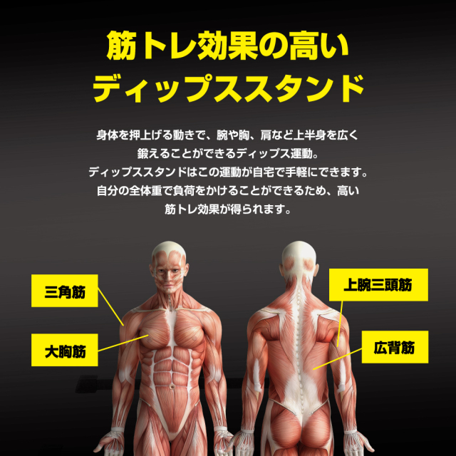 ディップスタンド FA53 (新品)