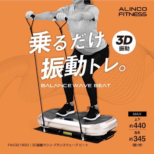 新品】【フィットネス/健康/ダイエット/トレーニング/エクササイズ  