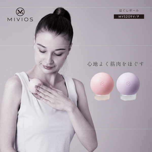 shugo asai 出品 AZH165 名匠黒シダブラシ |おそうじのことならアズマ