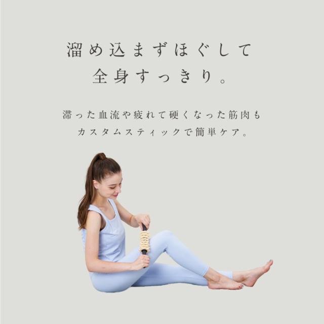 MIVIOS カスタムスティック MVS301 (新品)