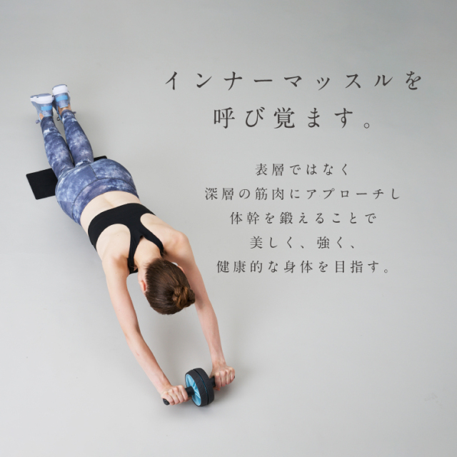 MIVIOS 2WAY腹筋ローラー MVS500 (新品)