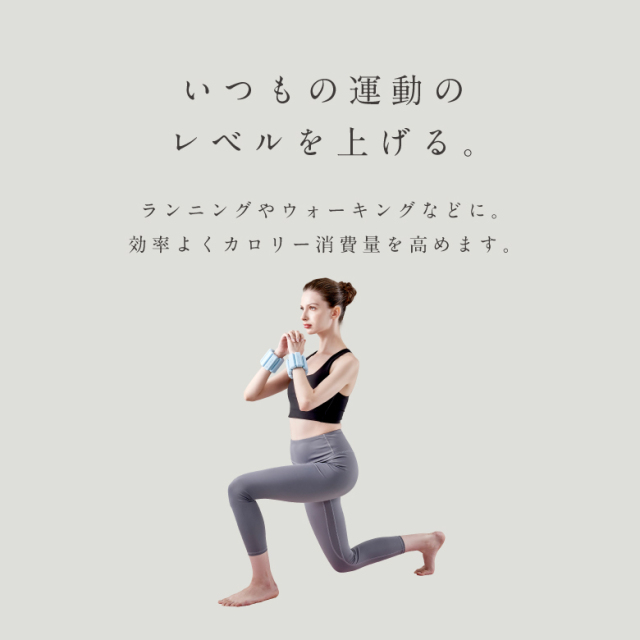 MIVIOS フィットウェイト 0.5kg MVS504 (新品)