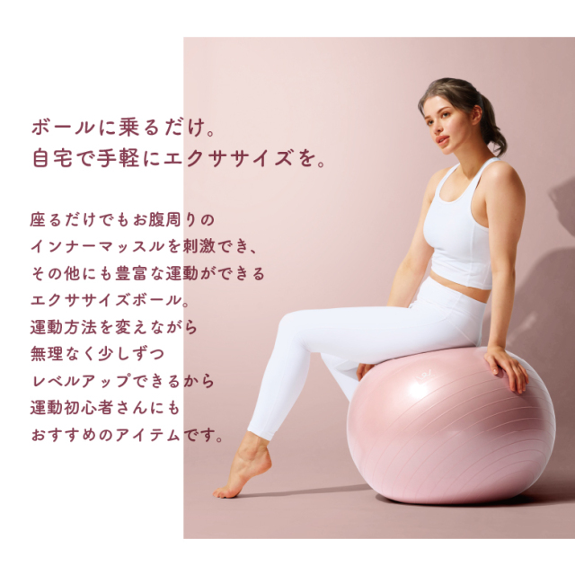 新品】WBF055/エクササイズボール55cm/アルインコ(ALINCO)