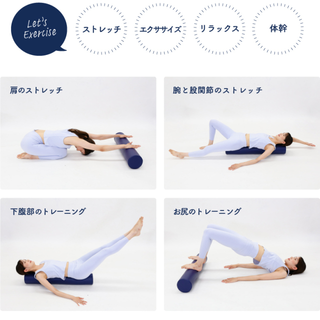 ストレッチポール FITNESS PRO.ALINCO エクササイズポール