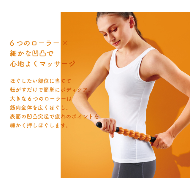 ポイントスティック WBF212 (新品)