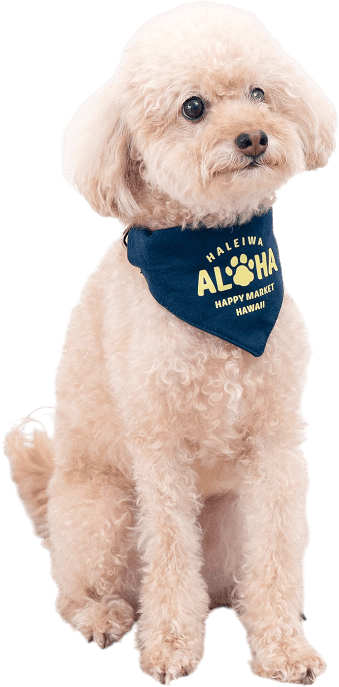 【HALEIWA HAPPY MARKET】【ペットアイテム2025AW】ペット用スウェットバンダナ【２点までメール便配送OK！送料250円】