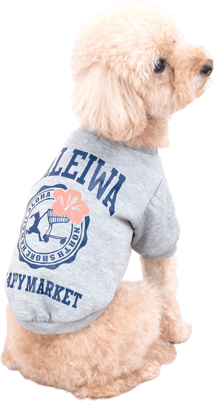 【HALEIWA HAPPY MARKET】【ペットアイテム2025AW】犬用クールネックスウェット【２点までメール便配送OK！送料250円】