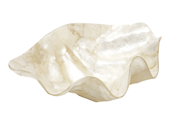 【Pukana2026春夏】シェル型小物入れ