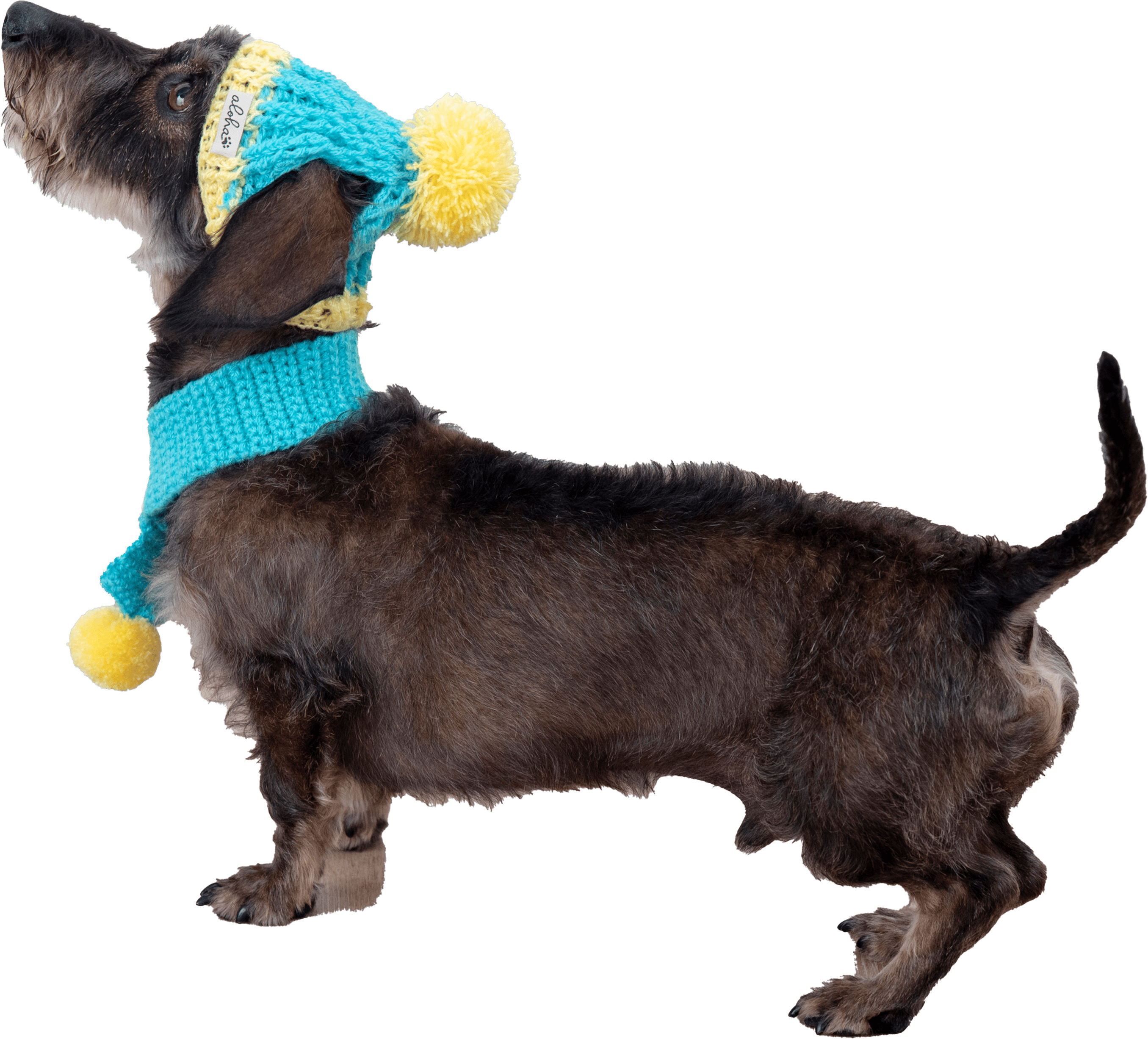 【Pukana】【ペットアイテム2025AW】ポンポン付きマフラー【２点までメール便配送OK！送料250円】