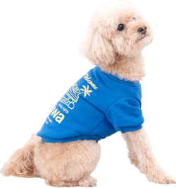 【HALEIWA HAPPY MARKET2026秋冬】犬用クールネックスウェット　2505【２点までメール便配送OK！送料250円】