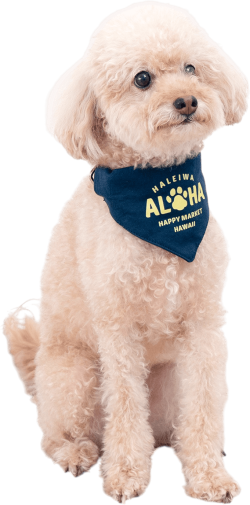 【HALEIWA HAPPY MARKET】【ペットアイテム2025AW】ペット用スウェットバンダナ【２点までメール便配送OK！送料250円】