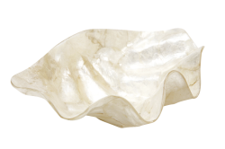 【Pukana2026春夏】シェル型小物入れ