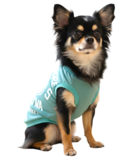 【HALEIWA HAPPY MARKET2026春夏】HHM 犬用タンクトップ　2601【２点までメール便配送OK！送料250円】