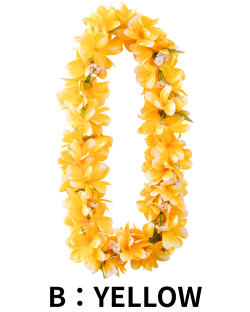 【Pukana2026春夏】ハワイアンレイ　2001