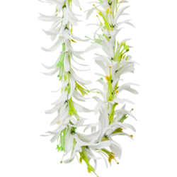 【Pukana2026春夏】ハワイアンレイ　2002