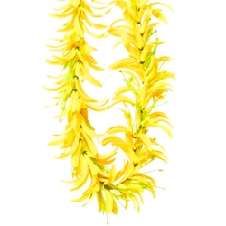 【Pukana2026春夏】ハワイアンレイ　2002