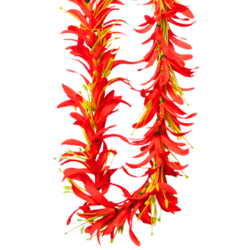 ハワイアンレイ