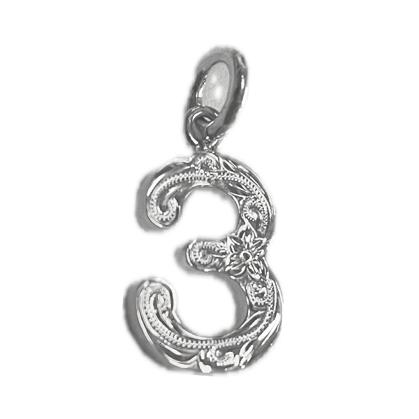 ☆ハワイ直輸入☆ ハワイアンジュエリー ペンダントTop