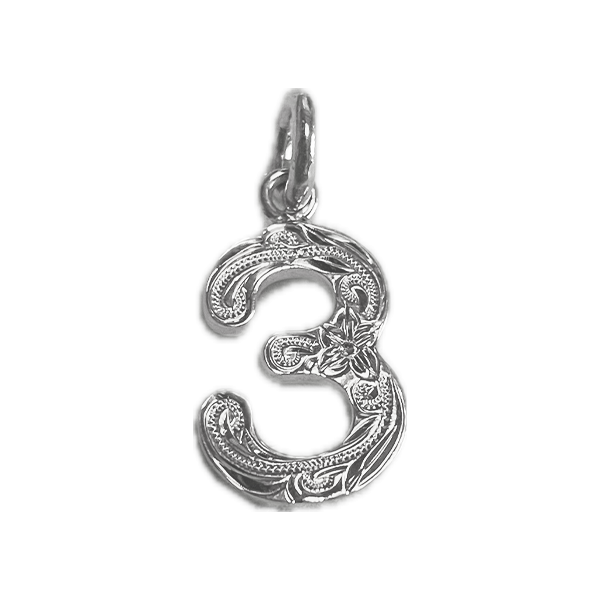 ☆ハワイ直輸入☆ ハワイアンジュエリー ペンダントTop 【ナンバー3