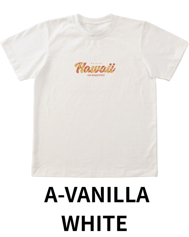 Pukana2026秋冬】World Vintage TシャツHAWAII 2625【2点までメール便