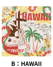 【Pukana2026春夏】World Vintage バンダナ　2606【１点までメール便配送OK！送料250円】/B：HAWAII