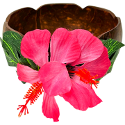 【Pukana2026春夏】ココナッツ小物入れ/A：ハイビスカス