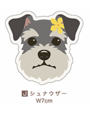 【Pukana2026秋冬】 ALOHAわんちゃんステッカー　2510【１０点までメール便配送OK！送料250円】/J-シュナウザー