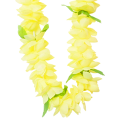 【Pukana2026春夏】ハワイアンレイ　2004/A：YELLOW