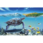 ｷｬﾝﾊﾞｽﾊﾟﾈﾙ絵 PUKR-1709　ハナウマベイ