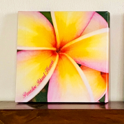 リゾートキャンバスピクチャー/B.プルメリア