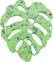 【Seneng】コースター(モンステラ)