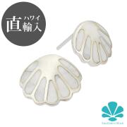 ☆ハワイ直輸入☆ハワイアンジュエリー ピアス  ホワイトターコイズ【シェル】シルバー925【ハワジュ４点までメール便配送OK！送料250円】