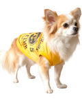 【HALEIWA HAPPY MARKET2026春夏】HHM 犬用タンクトップ　2601【２点までメール便配送OK！送料250円】/A-YELLOW