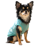 【HALEIWA HAPPY MARKET2026春夏】HHM 犬用タンクトップ　2601【２点までメール便配送OK！送料250円】/B-GREEN