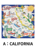 【Pukana2026春夏】World Vintage バンダナ　2606【１点までメール便配送OK！送料250円】/A：CALIFORNIA
