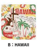 【Pukana2026春夏】World Vintage バンダナ　2606【１点までメール便配送OK！送料250円】/B：HAWAII