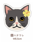 【Pukana2026秋冬】 ALOHAねこちゃんステッカー　2603【１０点までメール便配送OK！送料250円】/B-ハチワレ