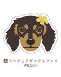 【Pukana2026秋冬】 ALOHAわんちゃんステッカー　2510【１０点までメール便配送OK！送料250円】/A-ミニチュアダックスフンド