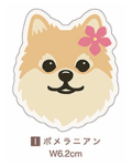 【Pukana2026秋冬】 ALOHAわんちゃんステッカー　2510【１０点までメール便配送OK！送料250円】/I-ポメラニアン