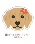 【Pukana2026秋冬】 ALOHAわんちゃんステッカー　2510【１０点までメール便配送OK！送料250円】/M-ゴールデンレトリバー