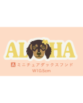 【Pukana2026春夏】 ALOHAわんちゃんステッカー　2511【１０点までメール便配送OK！送料250円】/A：ミニチュアダックスフンド
