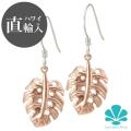 ☆ハワイ直輸入☆ハワイアンジュエリー ピアス フックピアス 【モンステラ】 シルバー 925 ピンクコーティング【メール便配送OK】