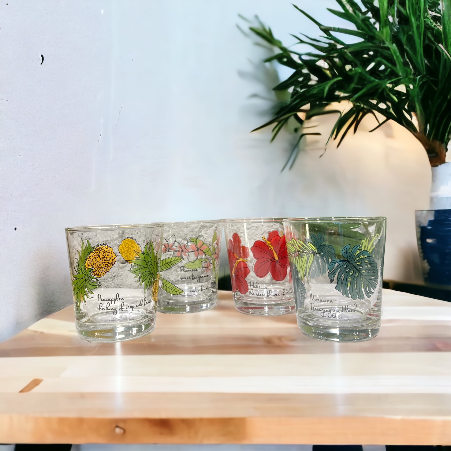 トロピカルグラス