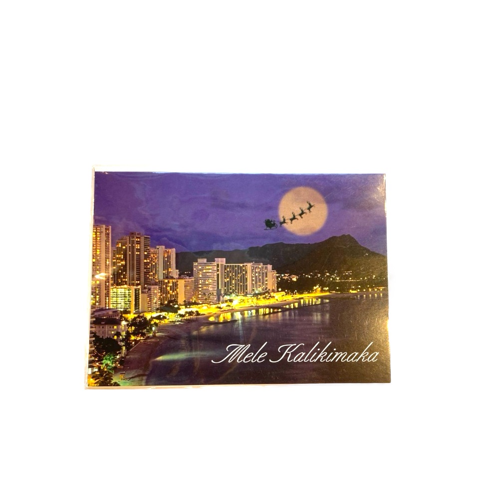 ハワイアンクリスマスカード6