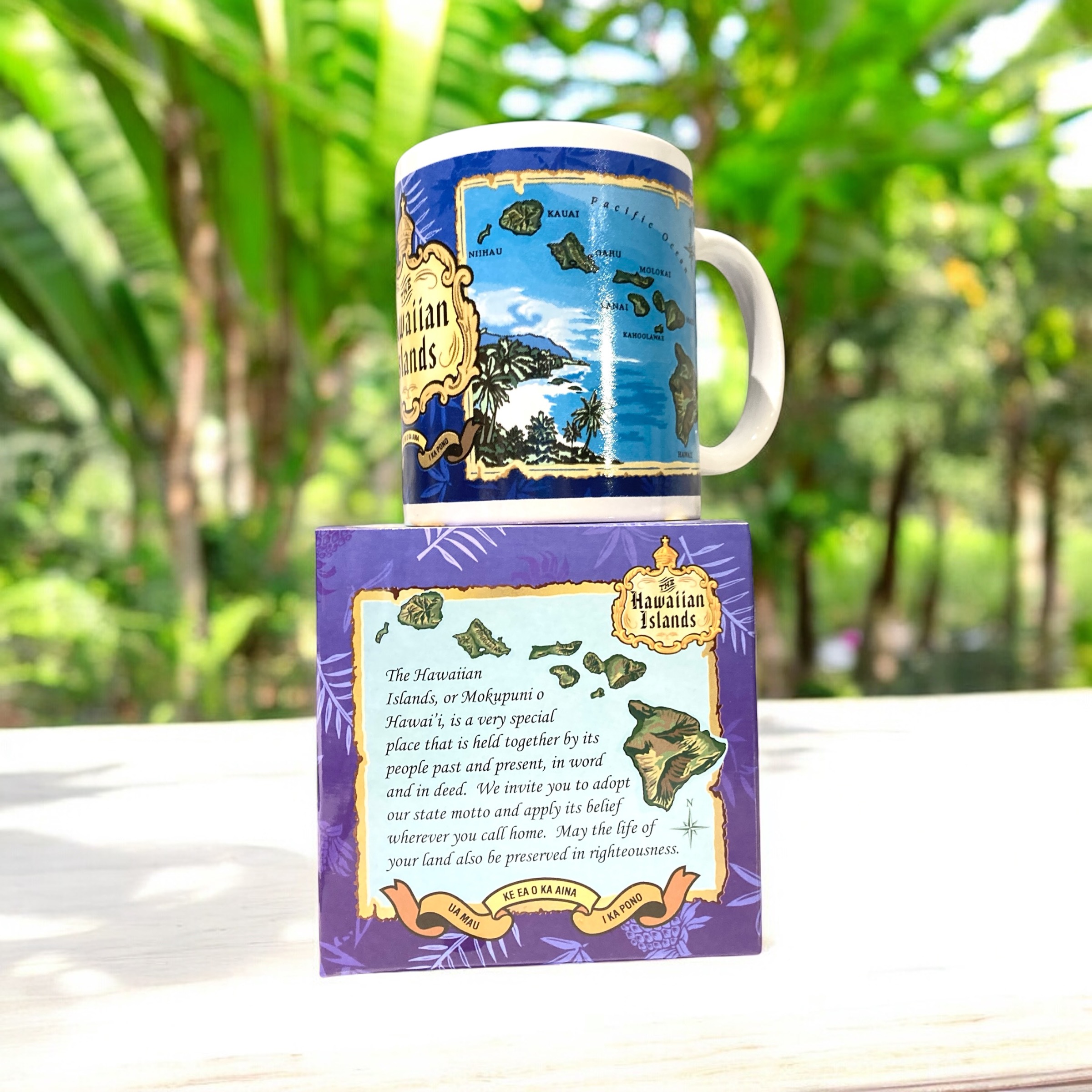 ハワイ直輸入Hawaiiのマグカップ。