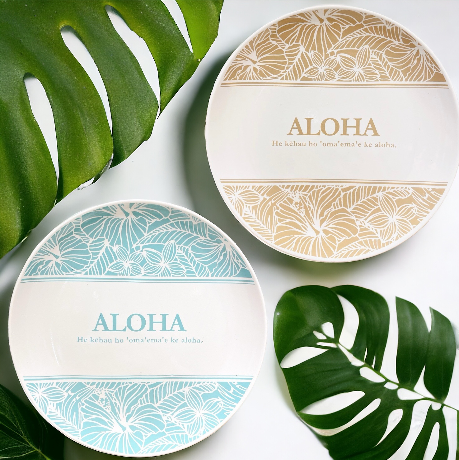 ALOHAハイビプレート