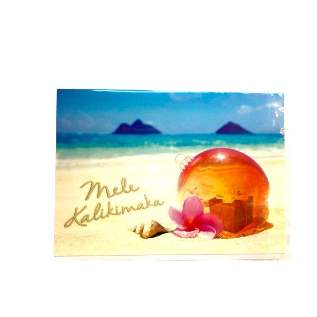 ハワイアンクリスマスカード4