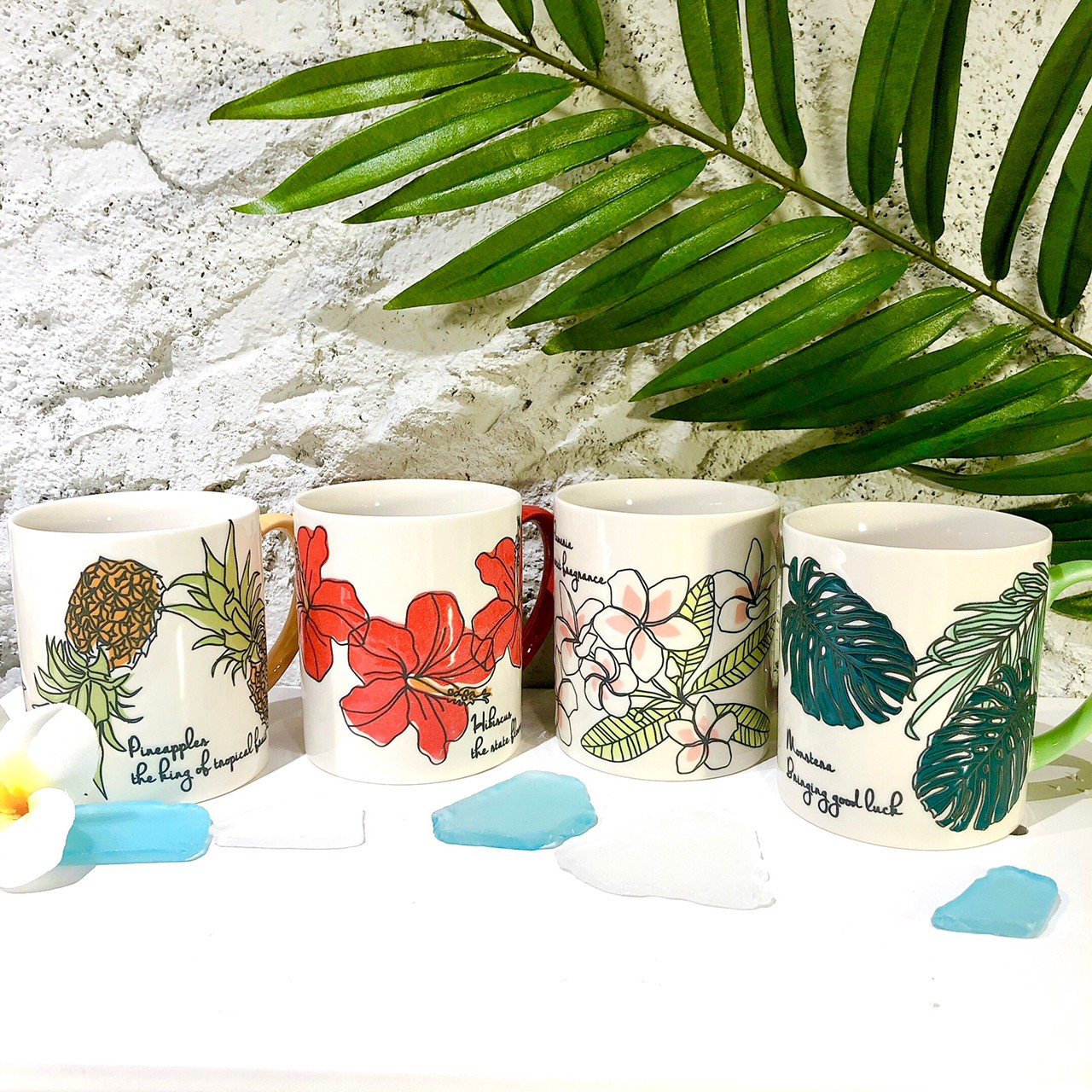 トロピカルマグ