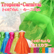 トロピカルカーニバル　TOP画像