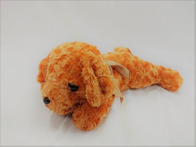 となりのわんこ 犬のカール ぬいぐるみ
